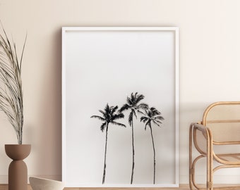 Hawaii PALM TREE Print: Black and White Palms, Large Wall Art, Tropical Home Decor, Kauai Framed Art Print, Beach Decor, Hawaii Photography