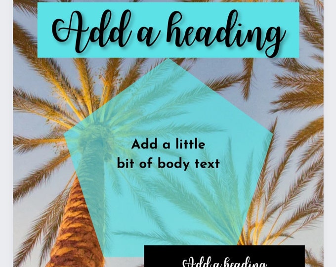 Instagram template Palm tree theme 25 options