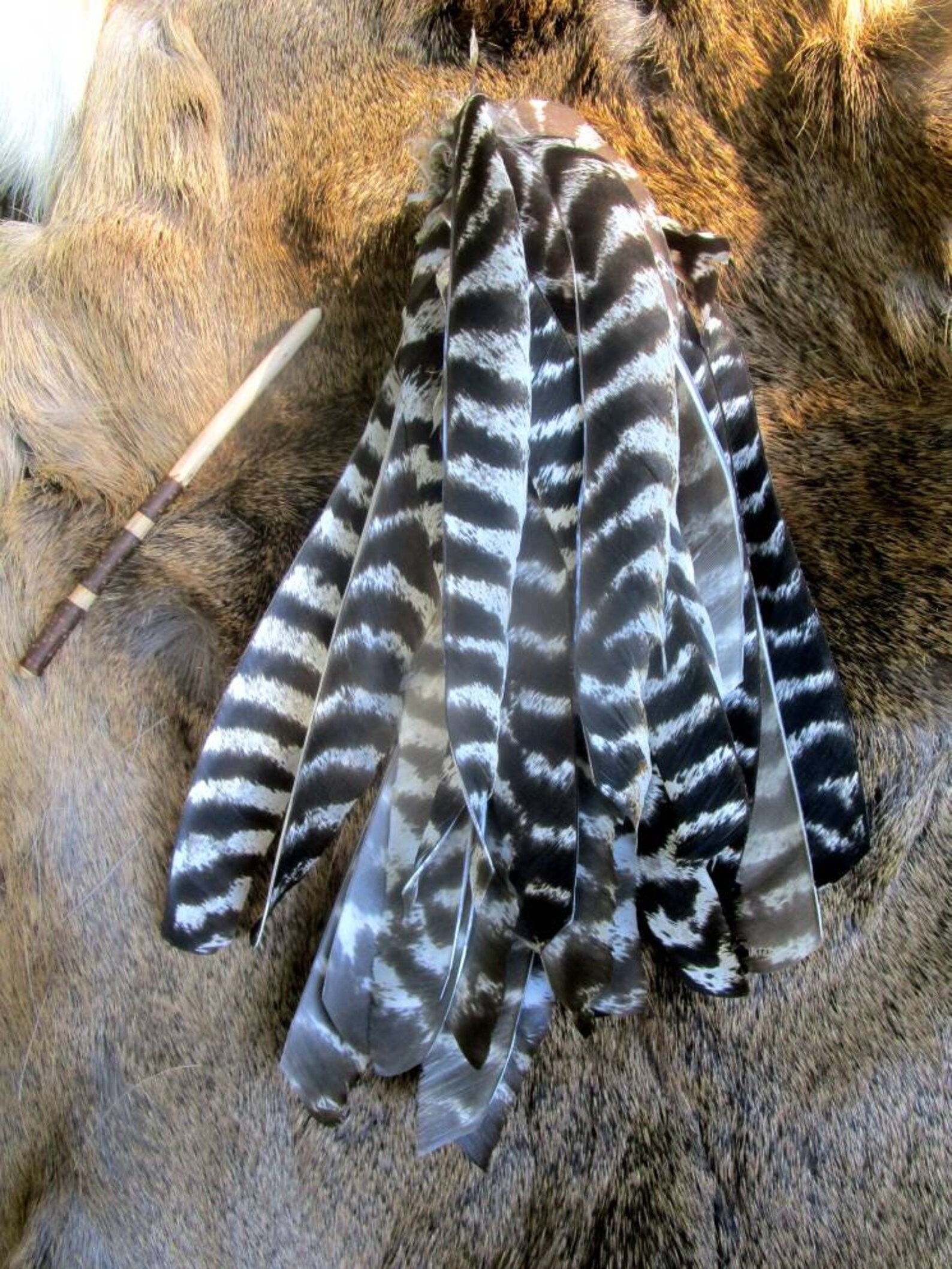 Eastern Woodlands Turkey Feather Hair Roach Etsy
