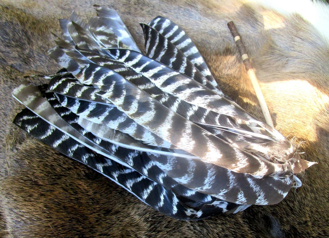 Eastern Woodlands Turkey Feather Hair Roach Etsy