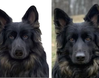 Custom digital pet portraits