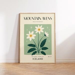 MOUNTAIN AVENS Impression d'art rétro | Décoration florale vintage pour la maison | Art mural botanique fleur bohème | Impression de voyage en Islande | Cadeau pour pendaison de crémaillère