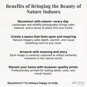 May include: Text on a cream-colored background reads "Benefits of Bringing the Beauty of Nature Indoors." The text describes the benefits of landscape and wildlife photography, including reconnecting with nature, creating inspiring spaces, and museum-quality prints.