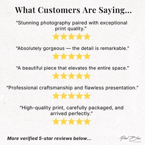 May include: Text on a cream-colored background reads "What Customers Are Saying..." followed by customer reviews with five-star ratings. The reviews highlight print quality, detail, and craftsmanship. The artist's signature is at the bottom.