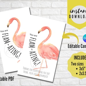Appreciation Gift Tag, You are Flama-zing, Flamingo, Thank You Gift Tag, Volunteer, Staff, Employee, Donor, Avery 22802 Template