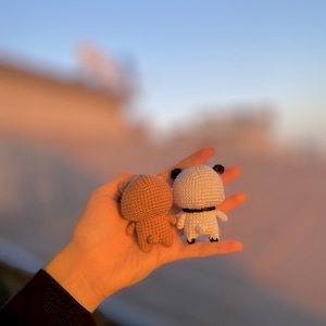 May include: Two small, crocheted bear figurines. One is tan, the other is white with black accents on the ears and feet. Both are held in an open hand against a soft, blurred background of a sunset.