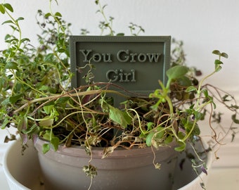 Marcadores de plantas divertidos / Estacas de jardín con humor / Etiquetas para jardines de hierbas / Regalo para amantes de las plantas / Accesorios para plantas de interior y exterior (Reino Unido)