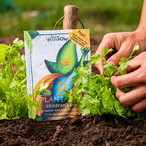 Activité éducative pour enfants,Activité éducative pour enfants,Cadeaux pour enfants,Livre à planter pour enfants, Remplissage de bas de Noël,Cadeau de Noël