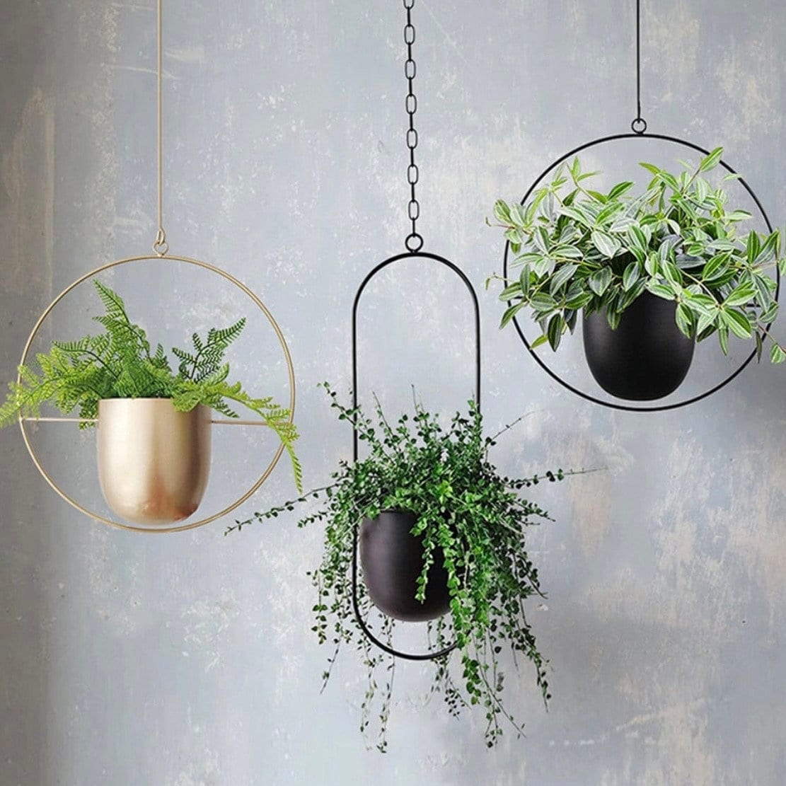 Extra Firm Modern Metal Wall Plant Hanger