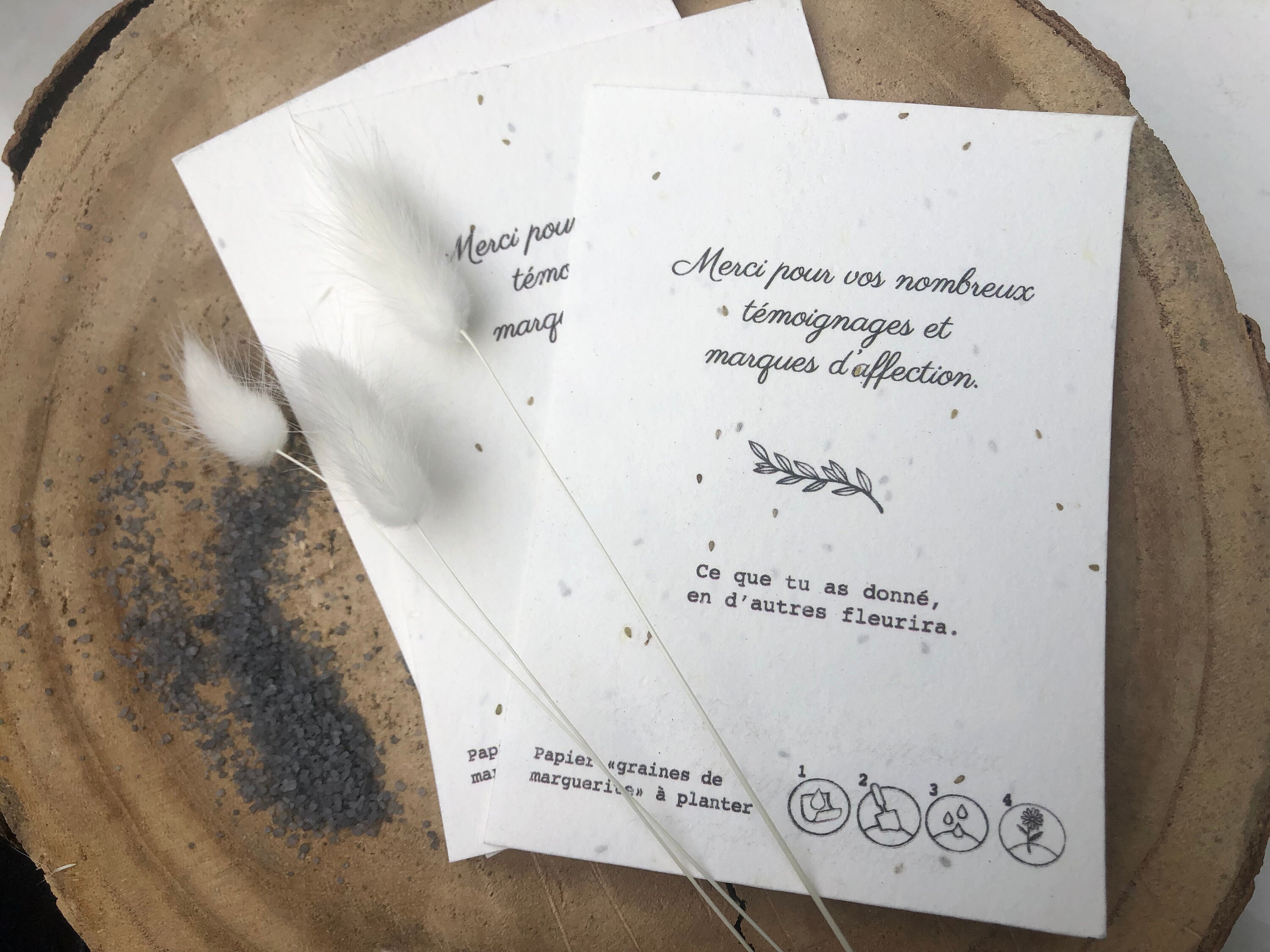 Carte Condoléance Graine de Fleur