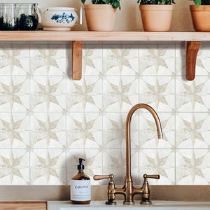 May include: A kitchen scene featuring a white sink, a copper faucet, and star-patterned tiles. A soap dispenser sits on the countertop. Shelves above hold potted plants and decorative items, creating a warm, inviting atmosphere.