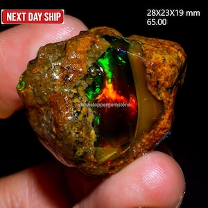 Könnte beinhalten: Ein roher, ungeschliffener Edelstein mit einer lebendigen Farbgebung. Der Stein weist eine Mischung aus braunen, grünen, roten und orangenen Farbtönen auf. Die Abmessungen betragen ca. 28x23x19 mm. Der Text "Showstoppergemstone" ist sichtbar.
