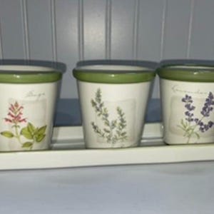 May include: A set of three ceramic flower pots with a matching tray. The pots are white with green rims and feature botanical illustrations of sage, herbs, and lavender. The tray and rims are a soft green.