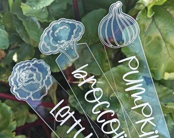 May include: Three clear acrylic plant markers with white lettering and illustrations of a pumpkin, onion, and broccoli. The markers read "pumpkin", "onion", and "broccoli".