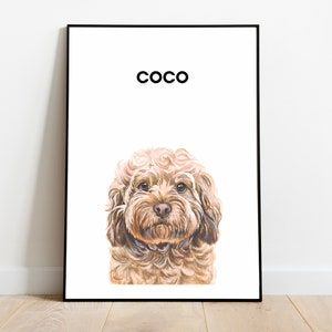 May include: A watercolour illustration of a brown and white dog with the name "Coco" printed above the dog.