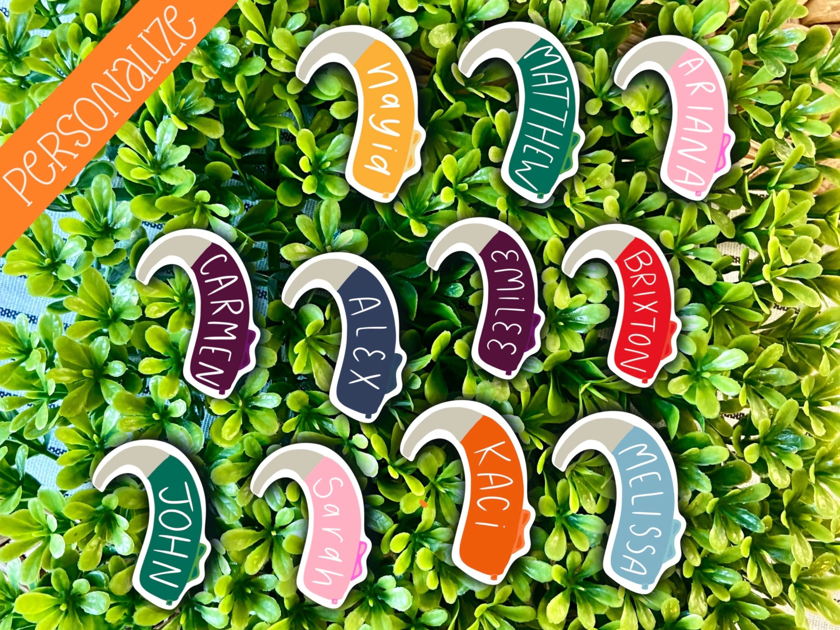 Personalisierter Name Hörgerät Aufkleber Mehrere Farben | Nicht geeignet für Hörgeräteakustiker, Hörgeschädigte, Hörgeschädigte, Audiologie kleben