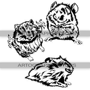 Pet Hamster Mouse Logo, Animal Logo, Cute animal svg