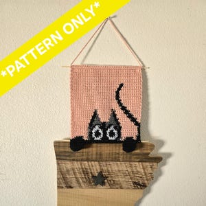 May include: A handmade crochet wall hanging featuring a pink rectangular panel with a black cat design. The cat has white eyes and is peeking over a wooden shelf. The text "*PATTERN ONLY*" is in yellow.