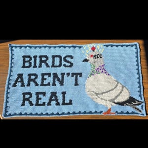 May include: A blue crocheted mat with the text "BIRDS AREN'T REAL" in black block letters. A pigeon wearing a crown is on the right. The pigeon is white, gray, and black with a red and orange beak and feet.
