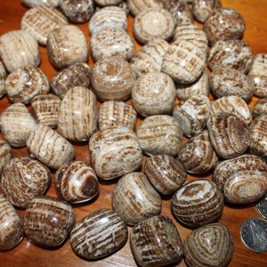 Aragonite - Tumbled from Peru - Grounding Crystal for stability and self-healing.