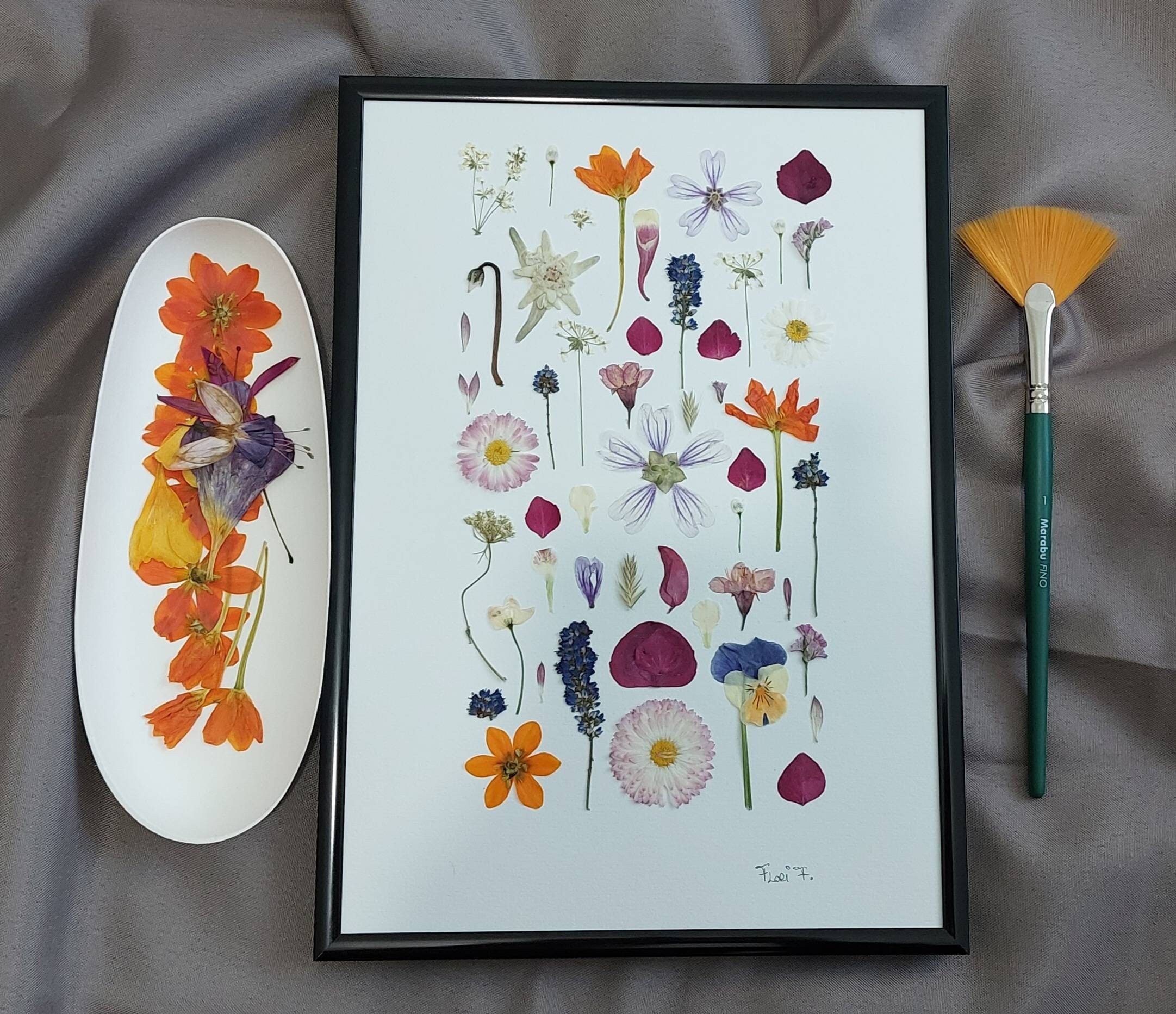 Herbier Encadré Fleurs