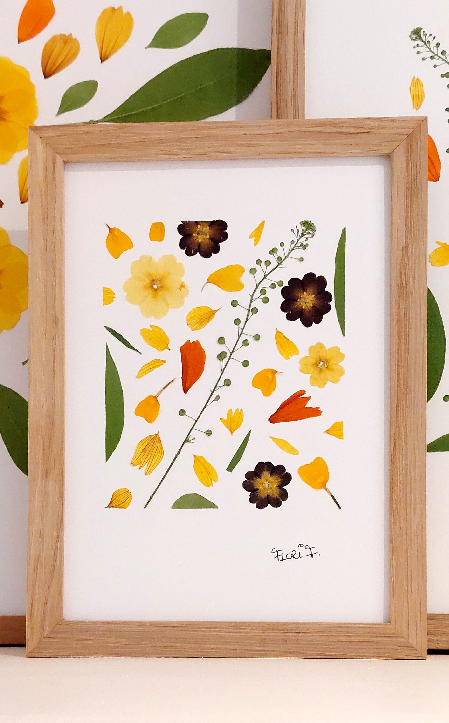 Solidarité avec L'ukraine -Herbier Cadre Fleurs Pressées Format 13/18 cm./Cadre Haute de Gamme en Bo