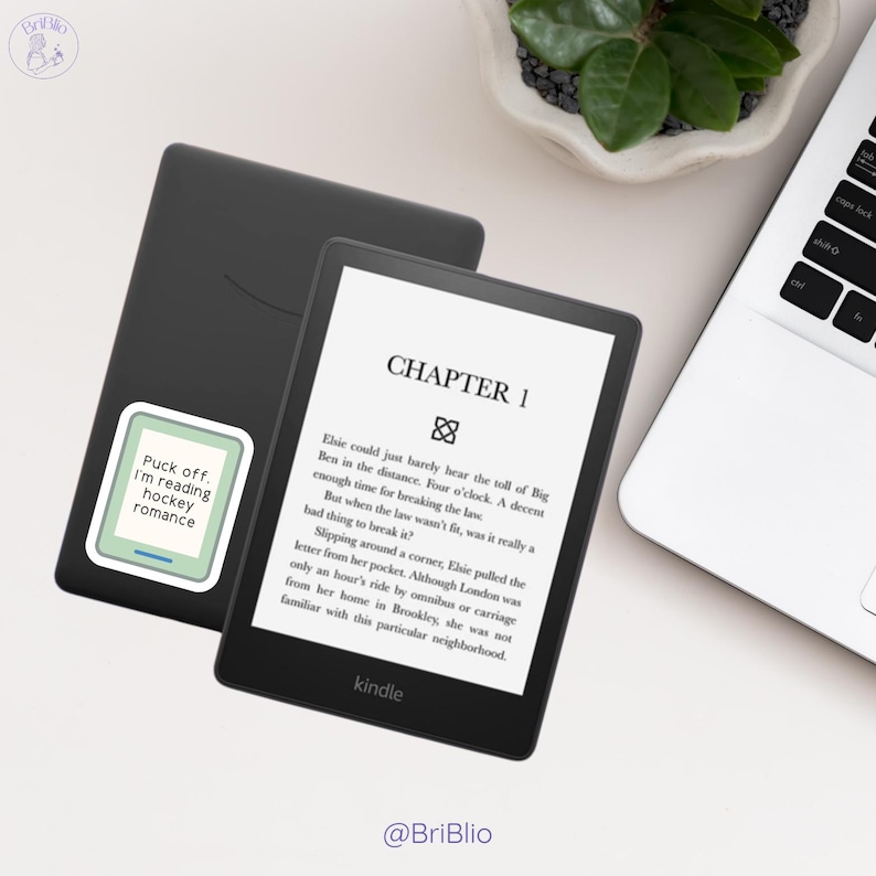 Off Campus Hockey Romance Sticker Bundle, Bookish Bundles Journal Kindle Laptop Stickers for Smut Book Lovers PNG SVG image 7