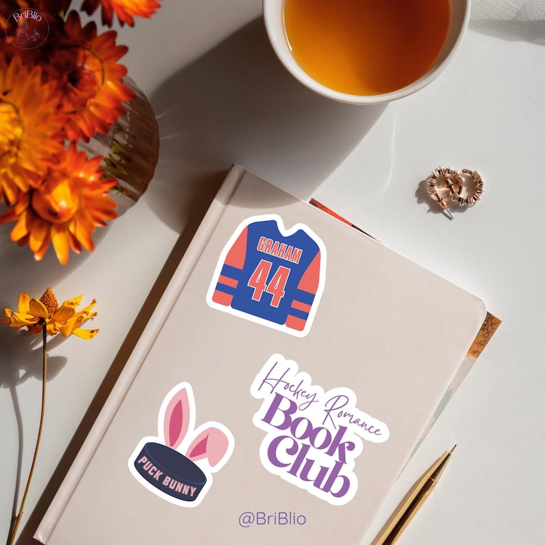 Off Campus Hockey Romance Sticker Bundle, Bookish Bundles Journal Kindle Laptop Stickers for Smut Book Lovers PNG SVG image 9
