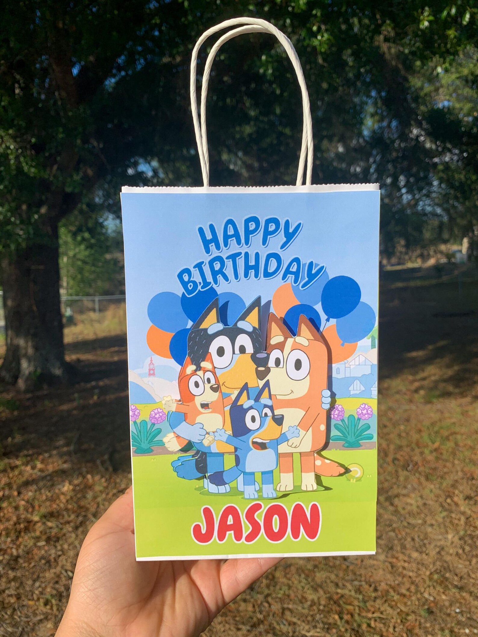 Bluey Favor Bags Etsy