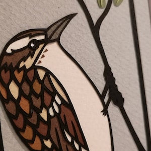 Treecreeper | Woodland Bird | Original Hand Cut Paper Art