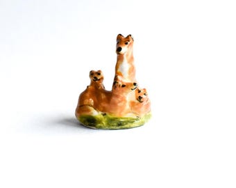 Zorros de porcelana con cachorros