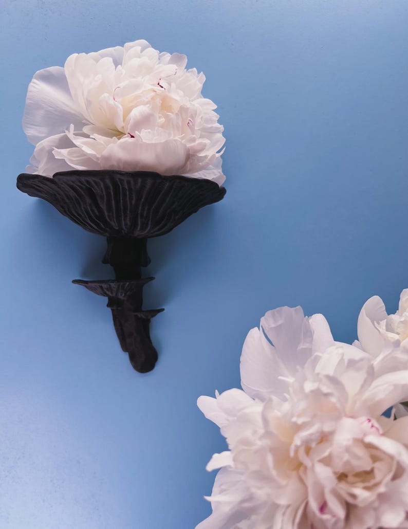 Floating Mushroom Shelf Amanita – Witchy Decor Halloween Decor | Goblincore Fairycore Mushroom Wall Shelf | Dark Academia Handmade image 14