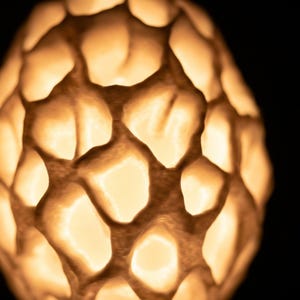 Mushroom Table Lamp, Morel 3D Printed Light with Honeycomb Texture, Unique Home Decor by Roomberry image 7