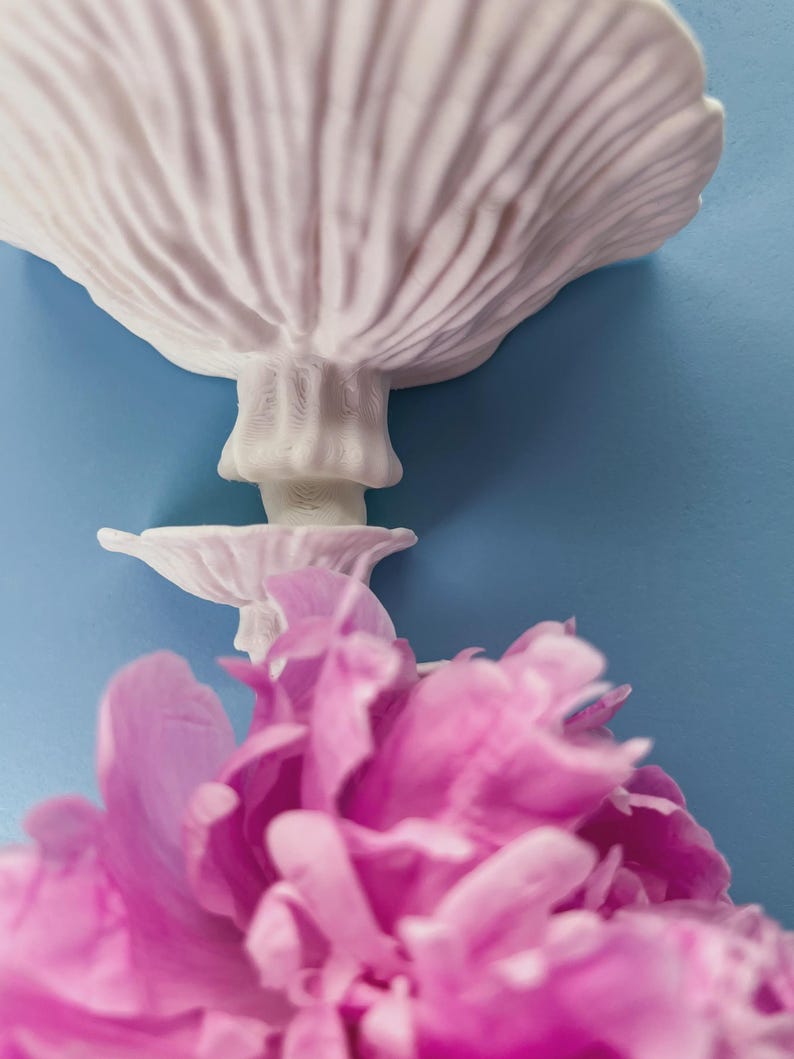 Floating Mushroom Shelf Amanita – Witchy Decor Halloween Decor | Goblincore Fairycore Mushroom Wall Shelf | Dark Academia Handmade image 11