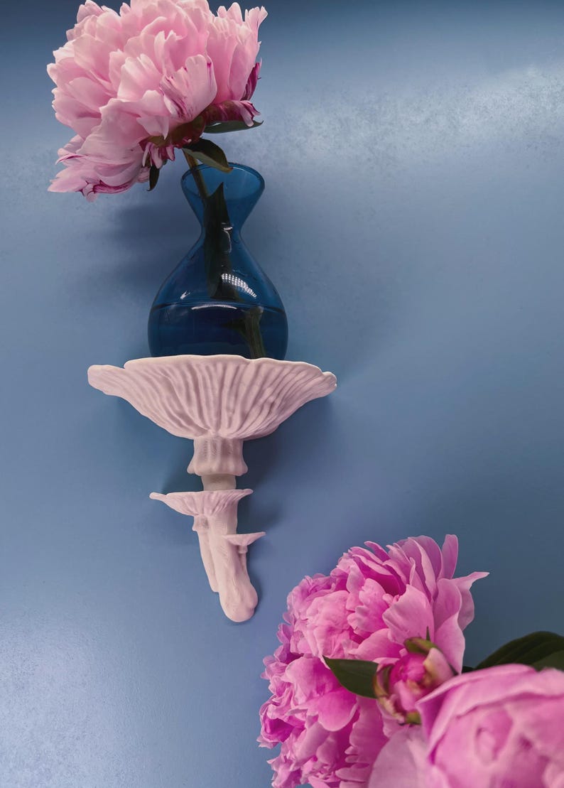 Floating Mushroom Shelf Amanita – Witchy Decor Halloween Decor | Goblincore Fairycore Mushroom Wall Shelf | Dark Academia Handmade image 10