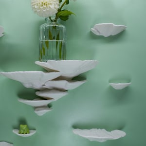 Mushroom Wall Shelf Set of 9 Turkey Tail – Floating Mushroom Shelves Nature Decor | Shelf Set | Handmade in Germany image 14