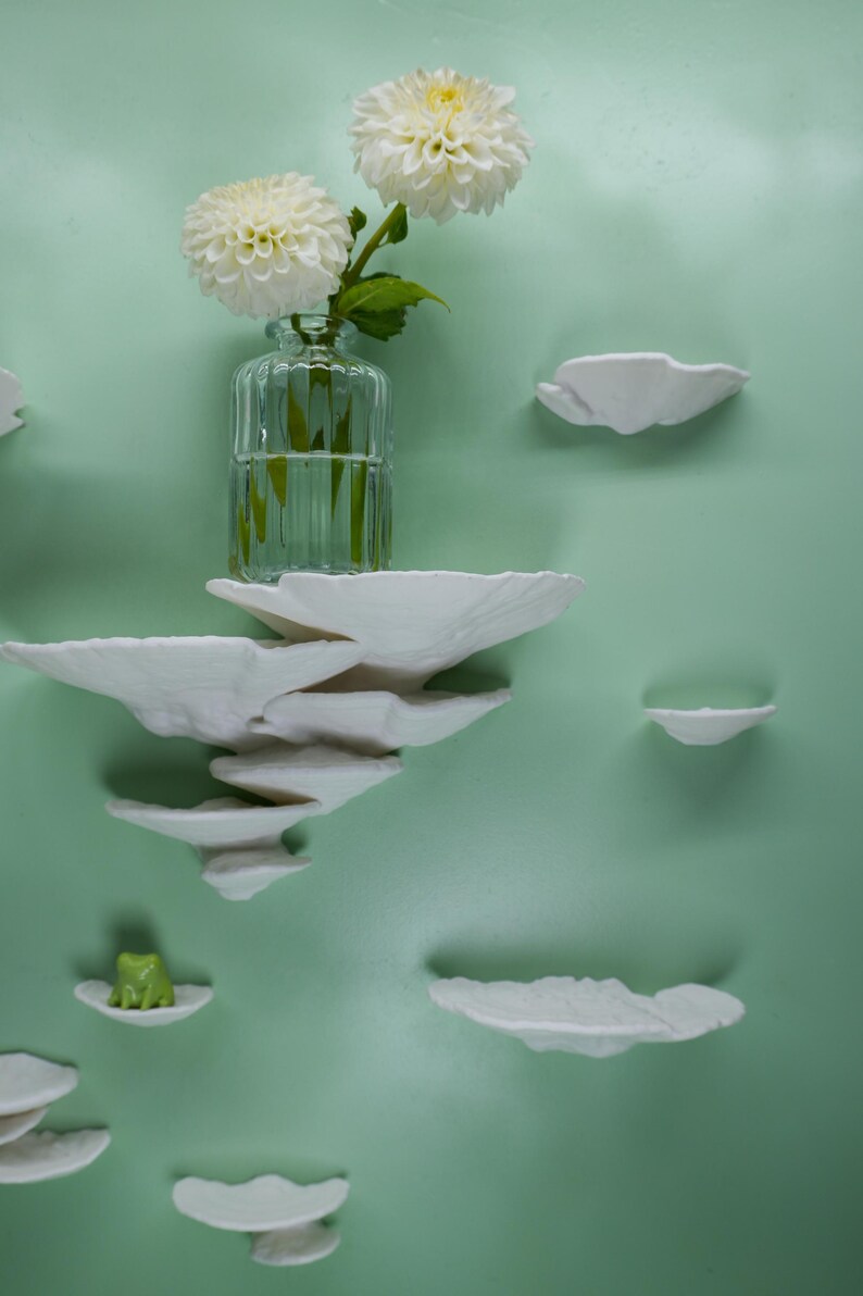 Mushroom Wall Shelf Set of 9 Turkey Tail – Floating Mushroom Shelves Nature Decor | Shelf Set | Handmade in Germany image 14