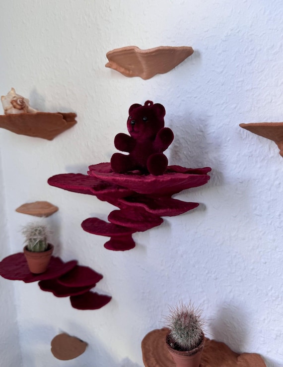 Pilzregal Set 9-teilig – schwebendes Trameten Wandregal Bundle für Naturwand Deko | by Roomberry