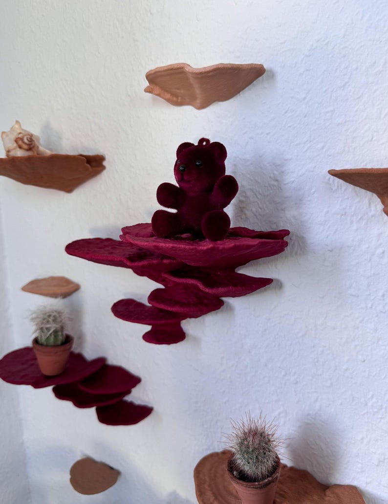 Mushroom Wall Shelf Set of 9 Turkey Tail – Floating Mushroom Shelves Nature Decor | Shelf Set | Handmade in Germany image 1