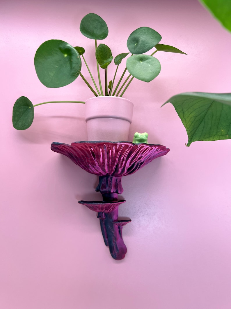 Floating Mushroom Shelf Amanita – Witchy Decor Halloween Decor | Goblincore Fairycore Mushroom Wall Shelf | Dark Academia Handmade image 8