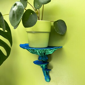 Floating Mushroom Shelf Amanita – Witchy Decor Halloween Decor | Goblincore Fairycore Mushroom Wall Shelf | Dark Academia Handmade image 5