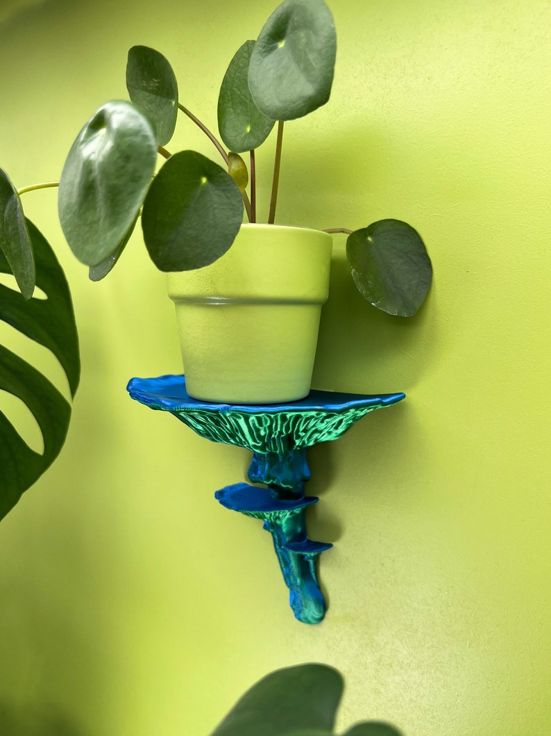 Floating Mushroom Shelf Amanita – Witchy Decor Halloween Decor | Goblincore Fairycore Mushroom Wall Shelf | Dark Academia Handmade image 5