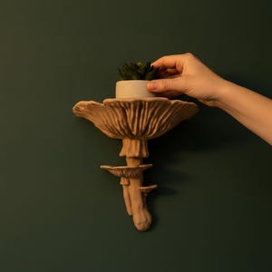 Hand stellt einen kleinen Blumentopf auf das Fliegenpilz-Wandregal – Größenvergleich mushroom shelf