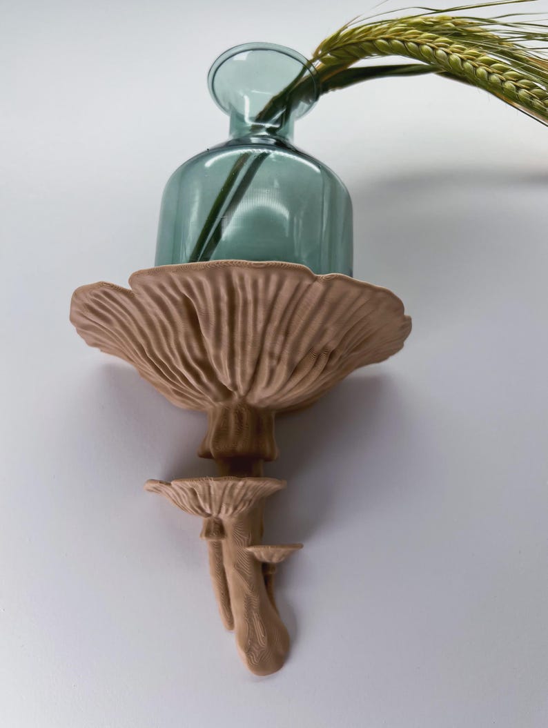 Floating Mushroom Shelf Amanita – Witchy Decor Halloween Decor | Goblincore Fairycore Mushroom Wall Shelf | Dark Academia Handmade image 12