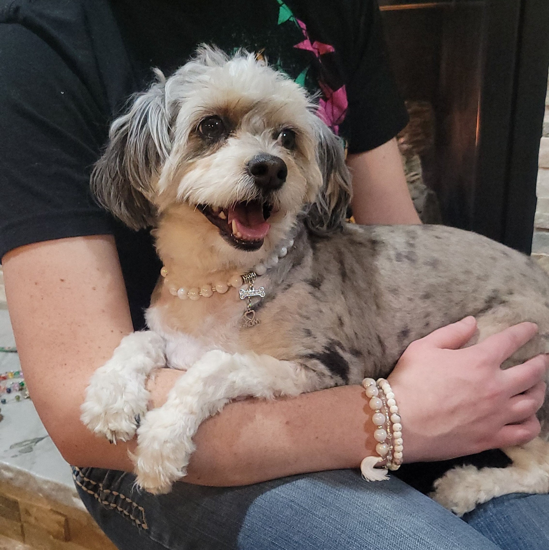 Matching Necklace for Dog cat and Bracelet for Owner Pet Jewelry Gift for Dog and Owner Pet Accessories Fur Baby Jewelry Wedding Etsy Canada