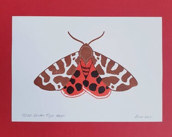 Garden Tiger Moth linocut print | original Tiger Moth linocut | handprinted moth art | A5 moth linoprint | colour linocut tiger moth print