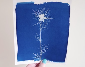 Nigella flower cyanotype print | blue botanical print | flower cyanotype | unique plant print | limited edition cyanotype | floral print