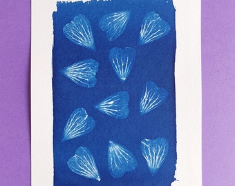 Petals cyanotype print | botanical cyanotype | original botanical art | sun photography | geranium petals print | floral cyanotype art print