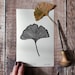 see more listings in the  Botanical Prints section