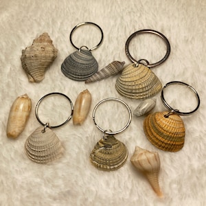 May include: A set of seven seashell keychains. Each keychain features a different seashell attached to a silver key ring. The seashells are a variety of colors and shapes, including white, brown, and gray.
